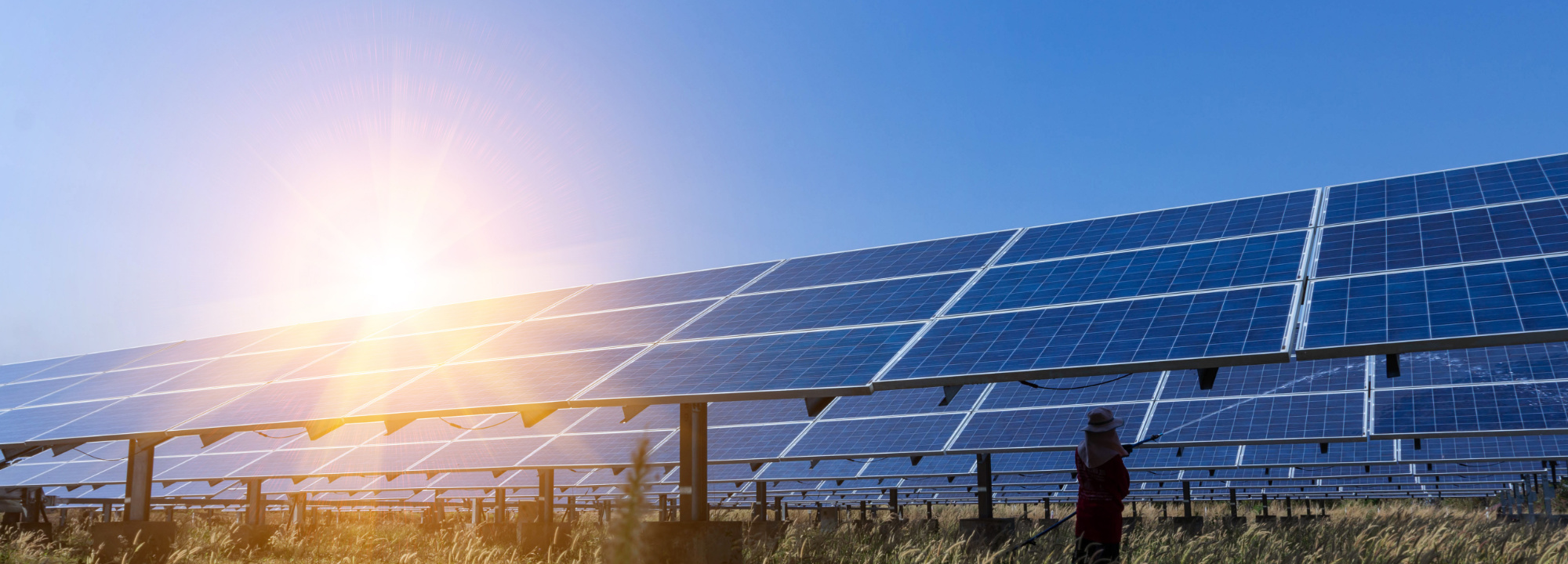 Solarpanel im Grünen, auf dem die Sonne reflektiert