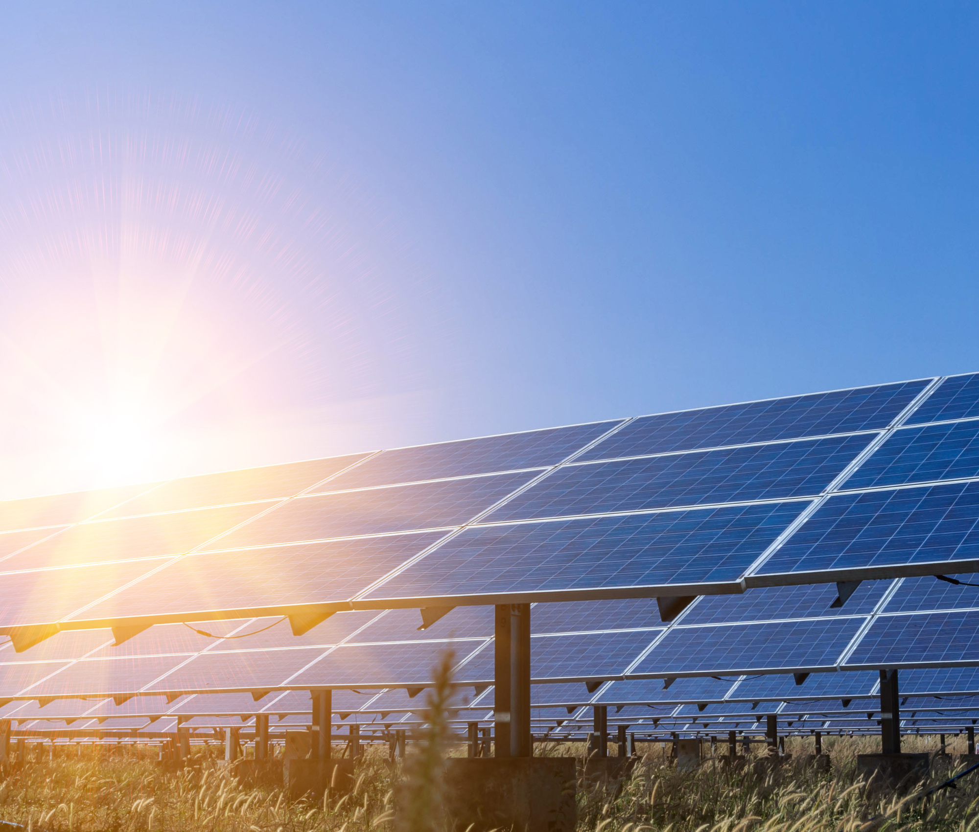 Solarpanel im Grünen, auf dem die Sonne reflektiert
